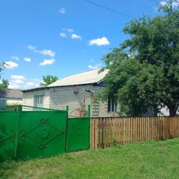 Продаж будинку в с. Омельниче, Полтавська область, 67 кв.м, 1 га землі
