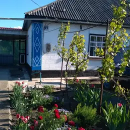 Будинок 100 кв.м з ділянкою 13 соток біля річки Синиця, м. Благовіщенське