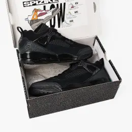 Air Jordan Low Spizike Black Cat кроссовки мужские 42.5