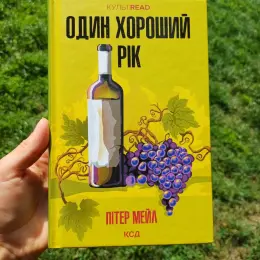 Книга "Один хороший рік" Пітер Мейл