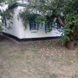 Продаж будинку в с. Ковтунівка, Золотоніський район, Черкаська область