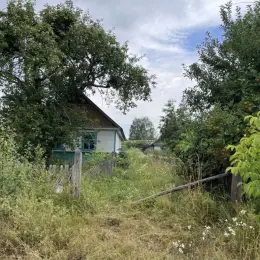 Будинок дерев'яний 77 кв.м, 4 кімнати, 25 соток землі в с. Кашперівка