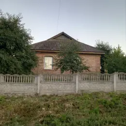Будинок, 120 кв.м, 4 кімнати, 50 соток, с. Оляниця