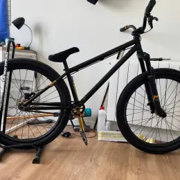 NS Bikes Majesty Ltd Dirt/Street Bike