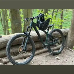 Dartmoor Hornet 2022 темно-зелений