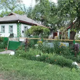 Будинок 48 кв.м на ділянці 30 соток в с-щі Верхнячка, Черкаська область