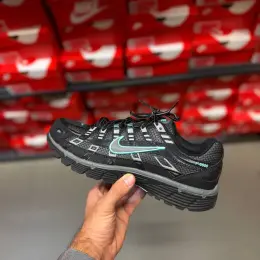 Кросівки Nike P-6000