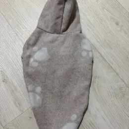 Одяг для собак з капюшоном