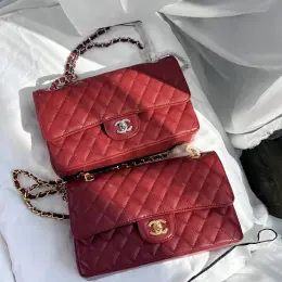Сумка Chanel Classic Flap 25 Burgundy зерниста шкіра золото/срібло