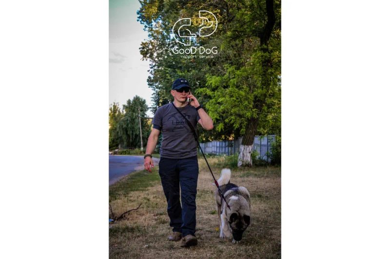 3в1! Повідок контролер для собак Ошейник удавка | Чорный Dogspotter — фото 2