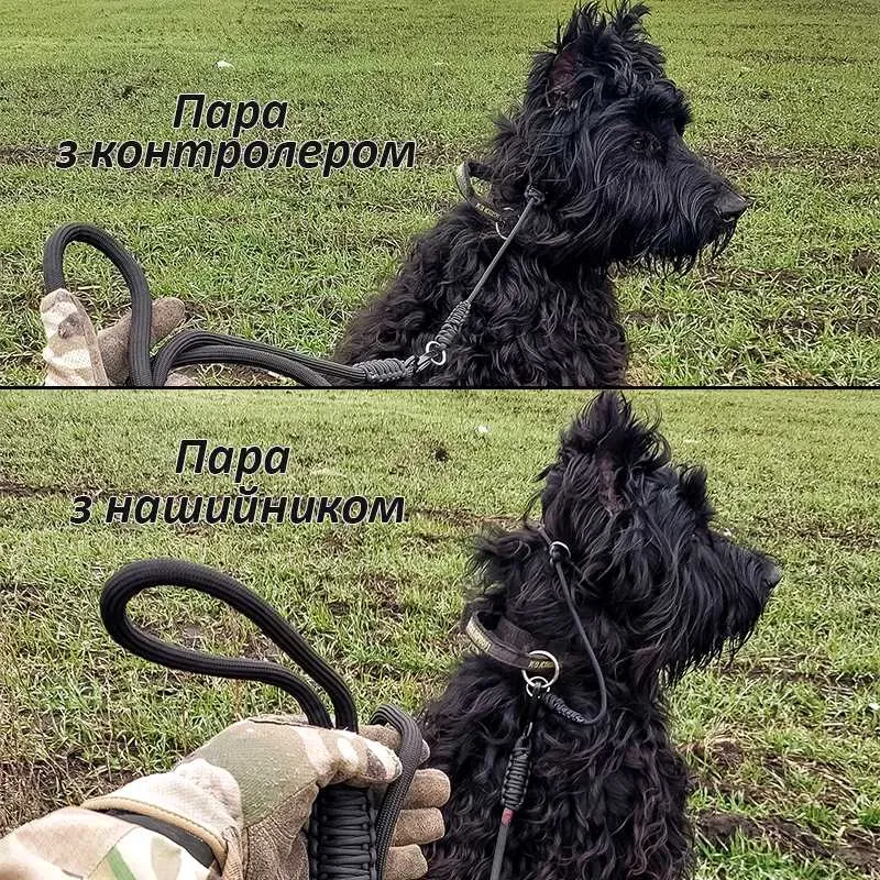 3в1! Повідок контролер для собак Ошейник удавка | Чорный Dogspotter — фото 3