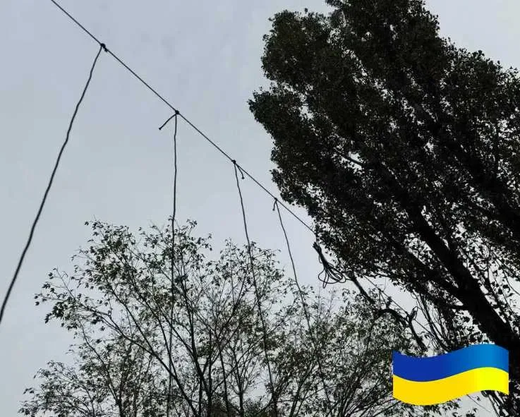 Антидронова штора сітка 6х3м для захисту Паракорд 5мм Темно зелений — фото 4