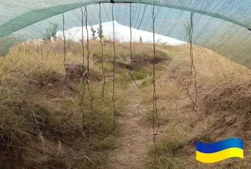 Антидронова штора сітка 6х3м для захисту Паракорд 5мм Темно зелений — фото 5