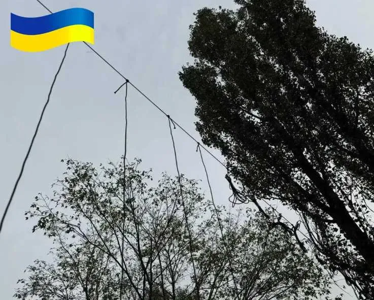 Антидронова штора сітка 6х3м для захисту Паракорд 5мм Зелений — фото 4