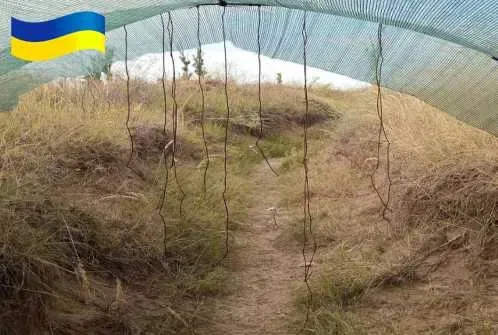 Антидронова штора сітка 6х3м для захисту Паракорд 5мм Зелений — фото 5