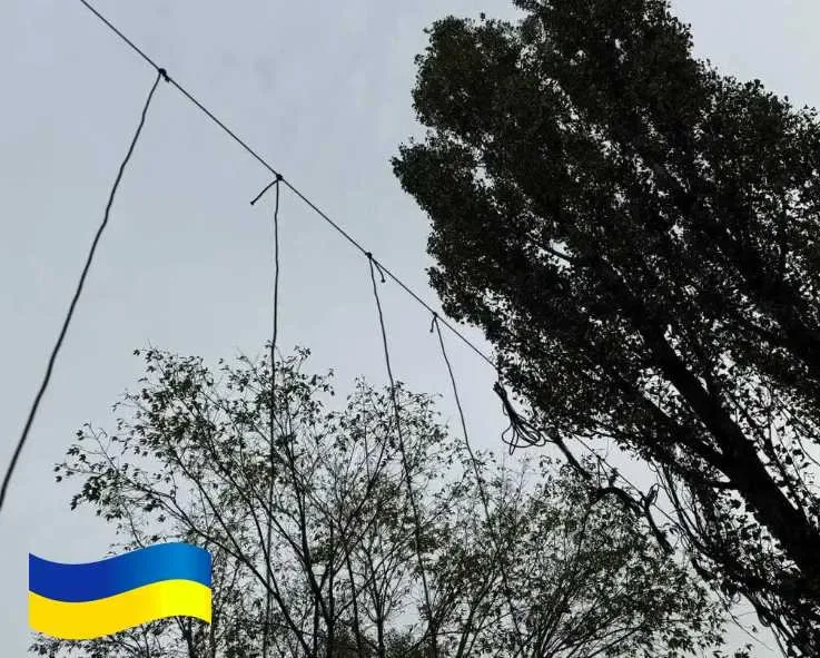 Антидронова штора сітка 6х3м для захисту Паракорд 6мм Зелений — фото 4