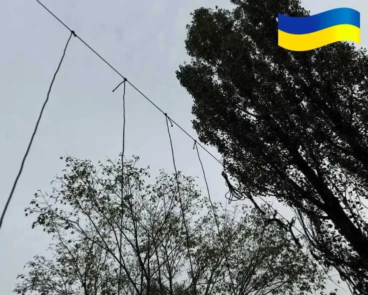 Антидронова штора сітка 6х3м для захисту Паракорд 6мм Зелений — фото 4