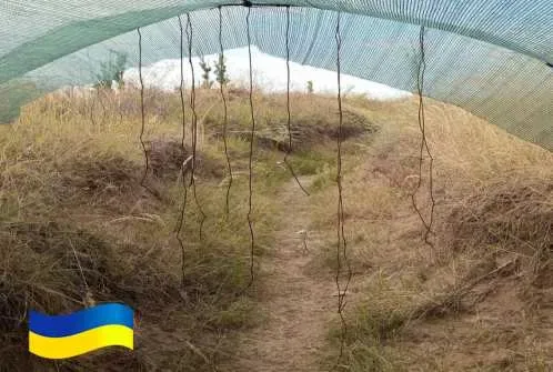 Антидронова штора сітка 6х3м для захисту Паракорд 6мм Зелений — фото 5