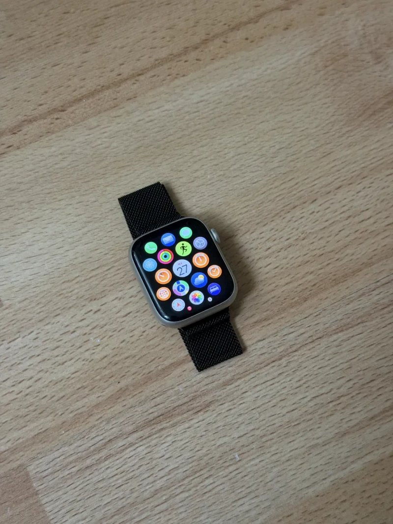 Apple Watch Series 9 45 mm Silver — фото 2
