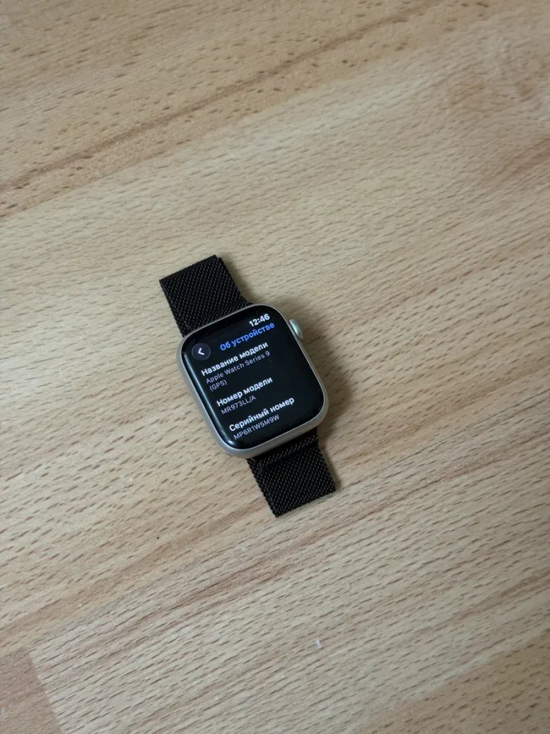 Apple Watch Series 9 45 mm Silver — фото 3