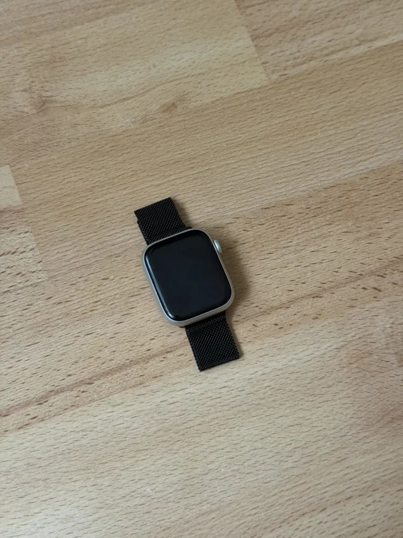 Apple Watch Series 9 45 mm Silver — фото 5