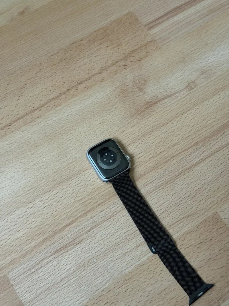Apple Watch Series 9 45 mm Silver — фото 6