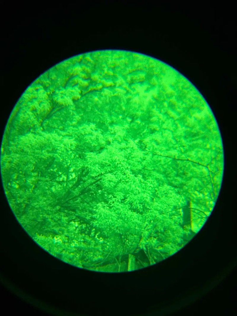 Бінокуляр Нічного Бачення (ПНБ) ACTinBlack DTNVS  V2 FOM: 2100 Gen 2+ Green Phosphor ПНБ нічник NVG монокуляр — фото 6