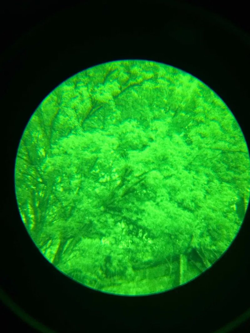 Бінокуляр Нічного Бачення (ПНБ) ACTinBlack DTNVS  V2 FOM: 2100 Gen 2+ Green Phosphor ПНБ нічник NVG монокуляр — фото 7