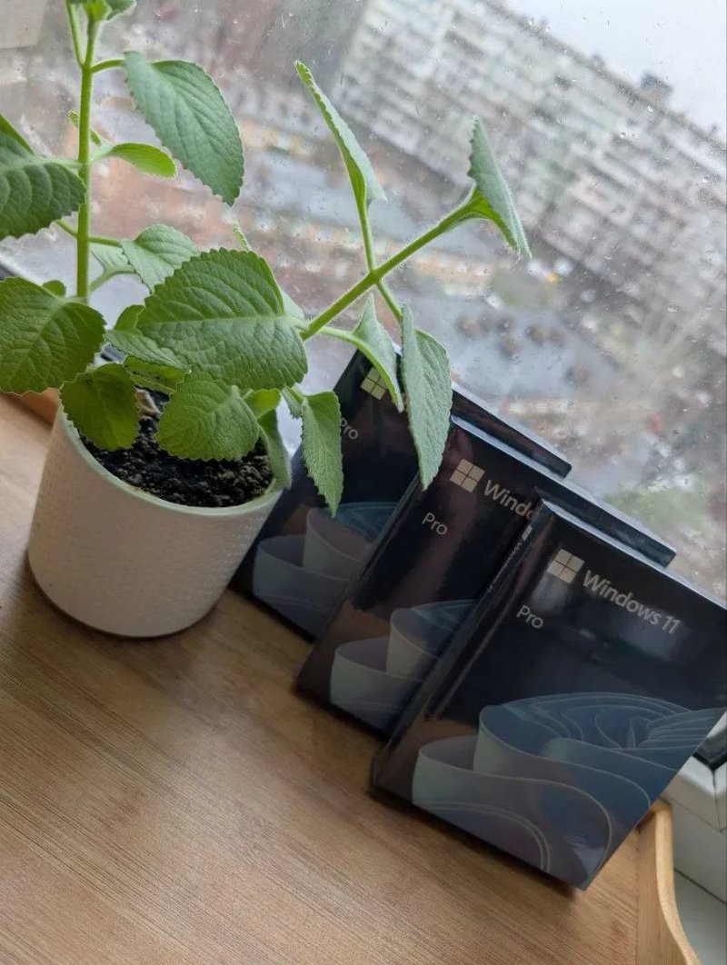 Боксова Windows 11 Pro BOX USB Оригінал Віндовс Активація Коробка VIP — фото 5