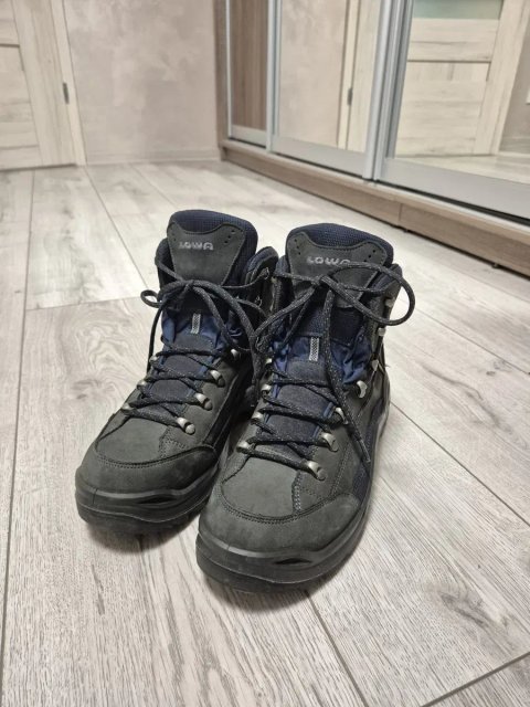 Черевики Lowa Renegade Gtx
