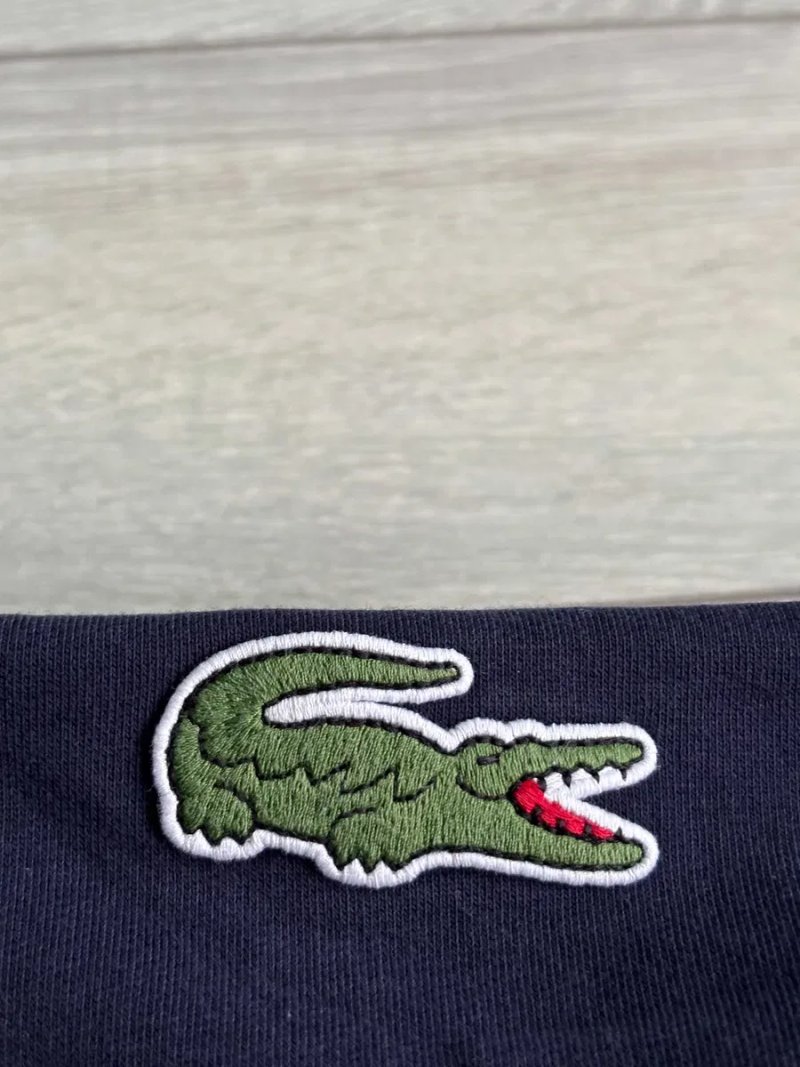 Чоловіче Худі Лакоста Спорт Lacoste Sport Colourblock Hoodie Size M Розмір Худак Батнік Кенгурушка Светр Джемпер Толстовка Кофта З Капюшоном Оригінал — фото 5