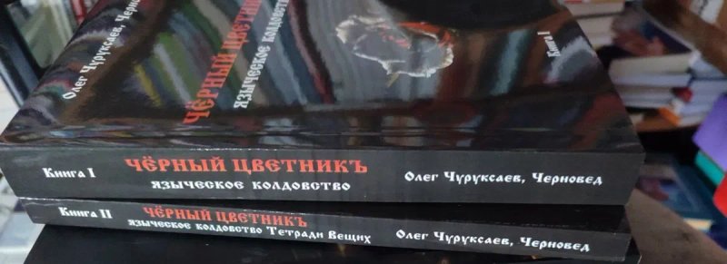 Чуруксаев Школа ворона и волка. Черный цветник. Колдовство — фото 2
