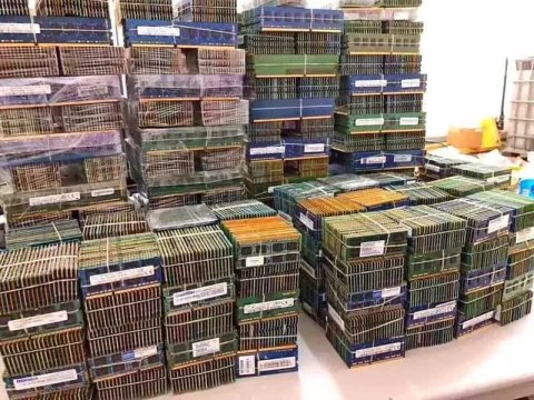 DDR1, DDR2, DDR3 оперативная память (1gb, 2gb, 4gb, 8gb)