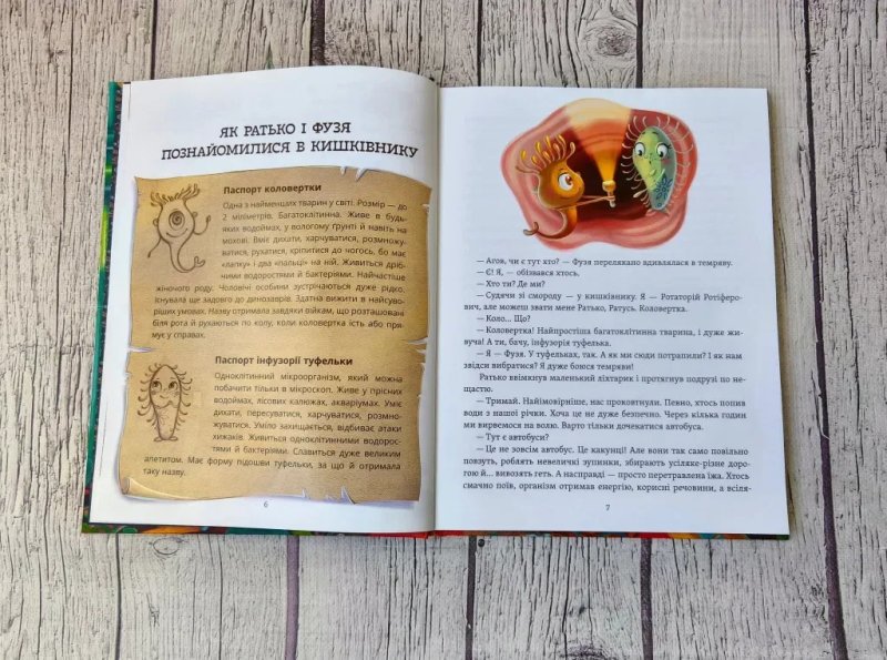 Дитяча книга " Що в кінці: куди зникають какунці? " — фото 3