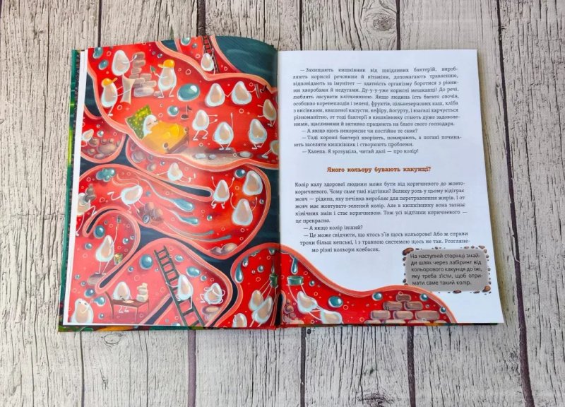 Дитяча книга " Що в кінці: куди зникають какунці? " — фото 4