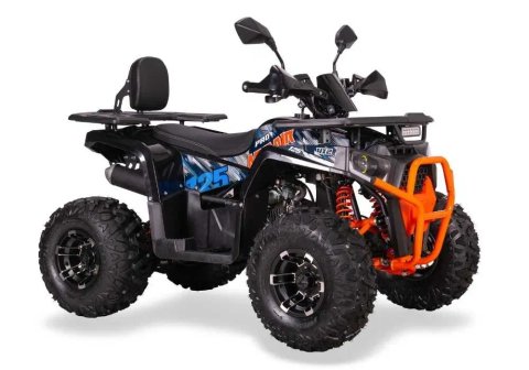 Дитячий квадроцикл на литих дисках! SPORT ENERGY AY 125 в мотосалоні Артмото Чернігів