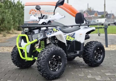 Дитячий квадроцикл Sport Energy AY125
