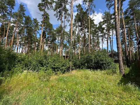 Ексклюзивна пропозиція!Земельна ділянка 15 соток в Ірпені.Гарний торг реальному покупцю!!