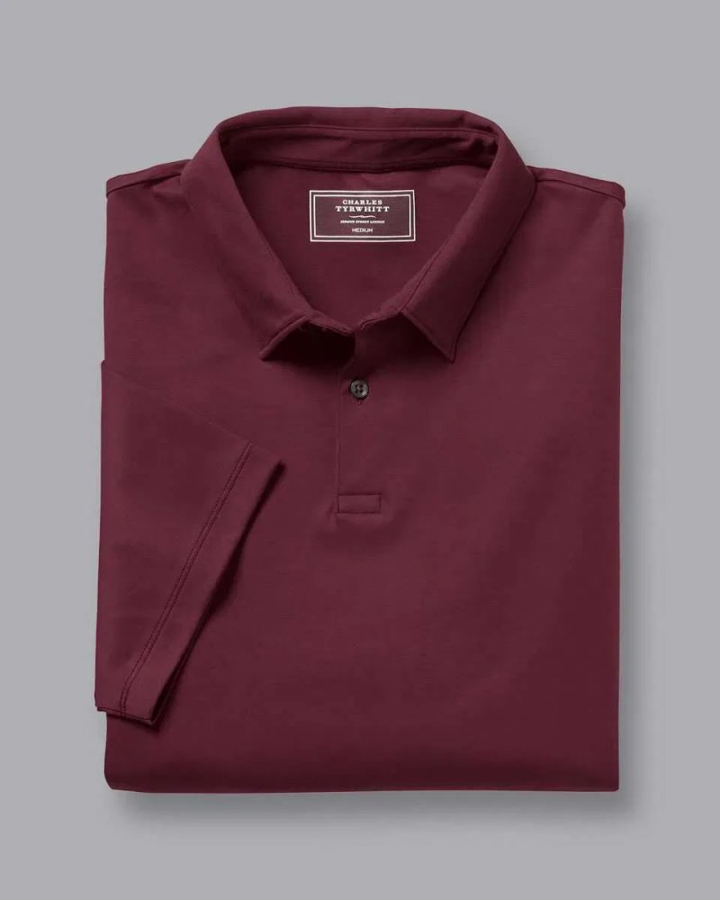 Эксклюзивное мужское поло от бренда Charles Tyrwhitt — фото 2
