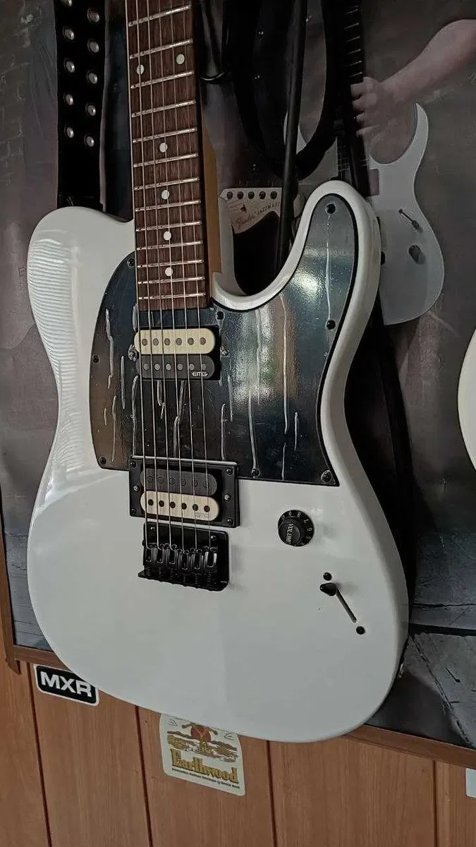 Електрогітара Fender Jim Root Telecaster — фото 5