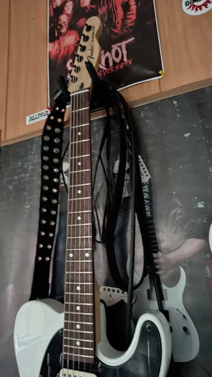Електрогітара Fender Jim Root Telecaster — фото 7