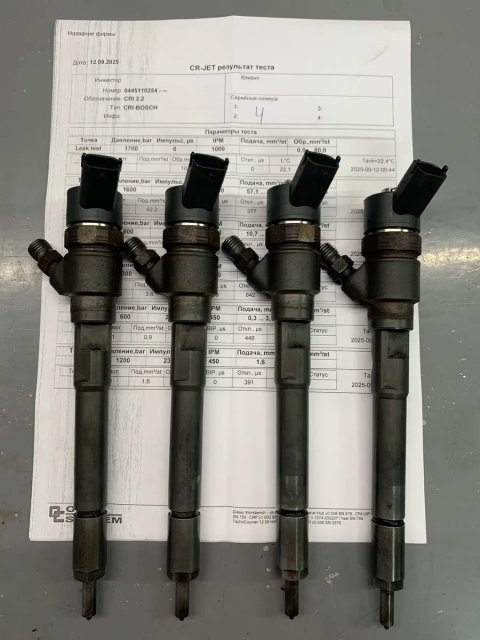 Форсунки Bosch 0445110254 Hyundai Grandeur TG, Santa Fe 2.2 CRDI