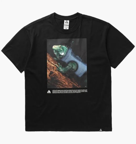 Футболка чоловіча Nike Acg "Oc Iguana Vest" T-Shirt (HJ0889-010)