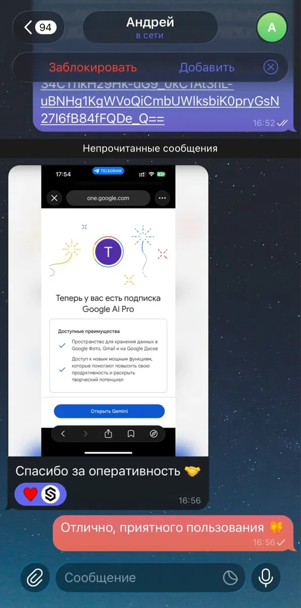 Gemini Pro | 18 месяцев | На ВАШ Аккаунт | Отзывы — фото 3