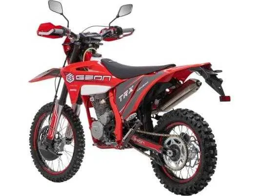 GEON TRX 300 YGH PRO, 2025  р. в. — фото 3