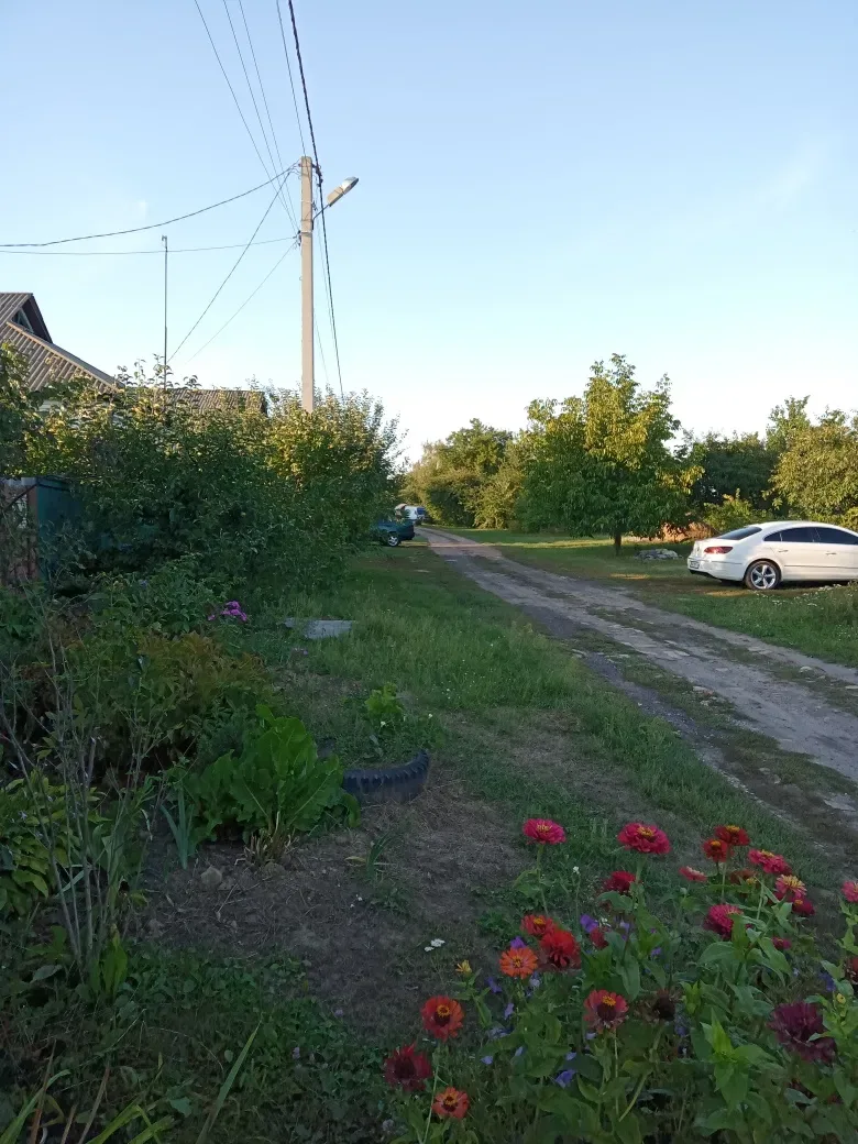 Германский бинокль 10х50. Состояние нового. — фото 3
