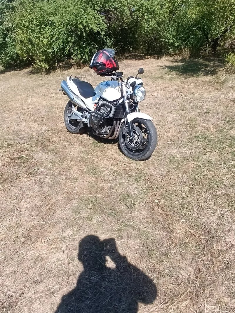 Honda hornet 600 — фото 2