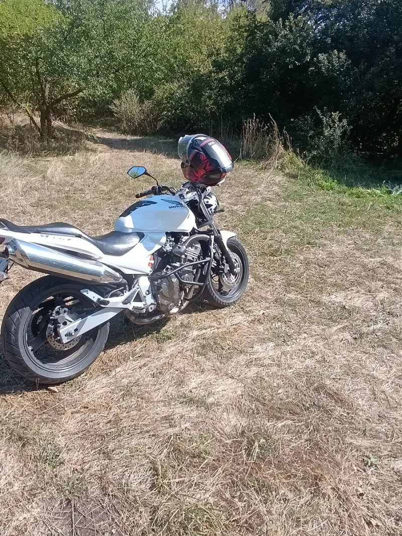 Honda hornet 600 — фото 3