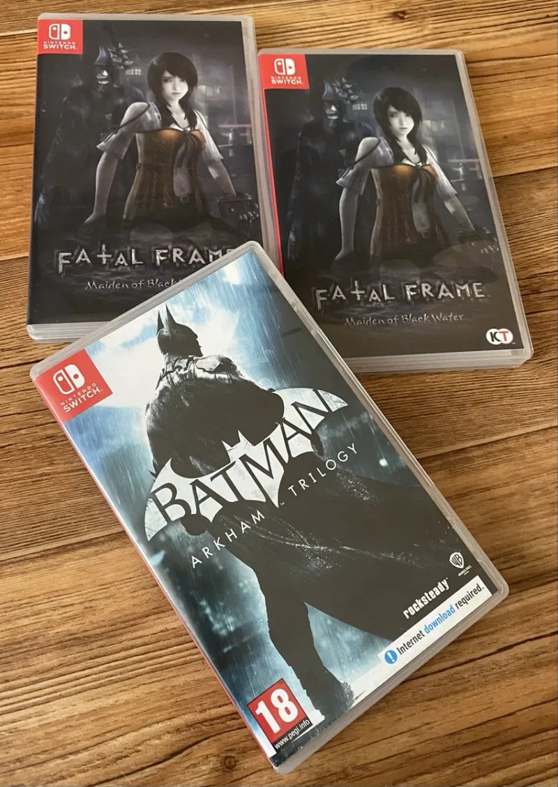 Ігри Nintendo Switch: Witcher, Fatal Frame, Stalker, Wolfenstein, Sam — фото 7