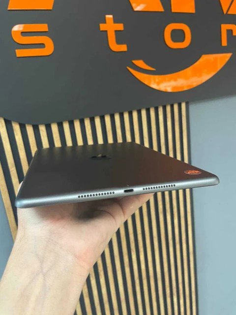 iPad 10.2" 256GB Gray Wi-Fi